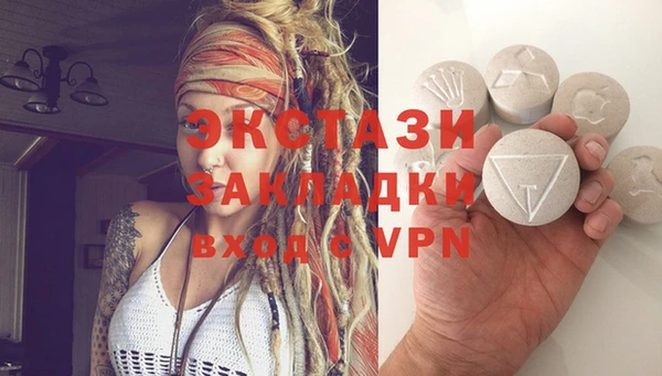 стаф Алзамай