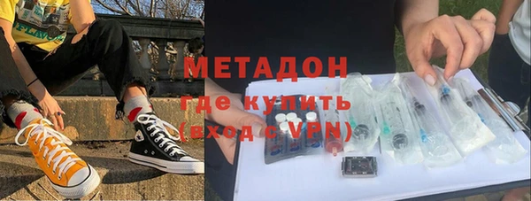 стаф Алзамай