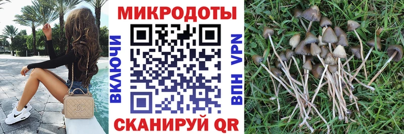 мориарти формула  Томари  Псилоцибиновые грибы GOLDEN TEACHER 